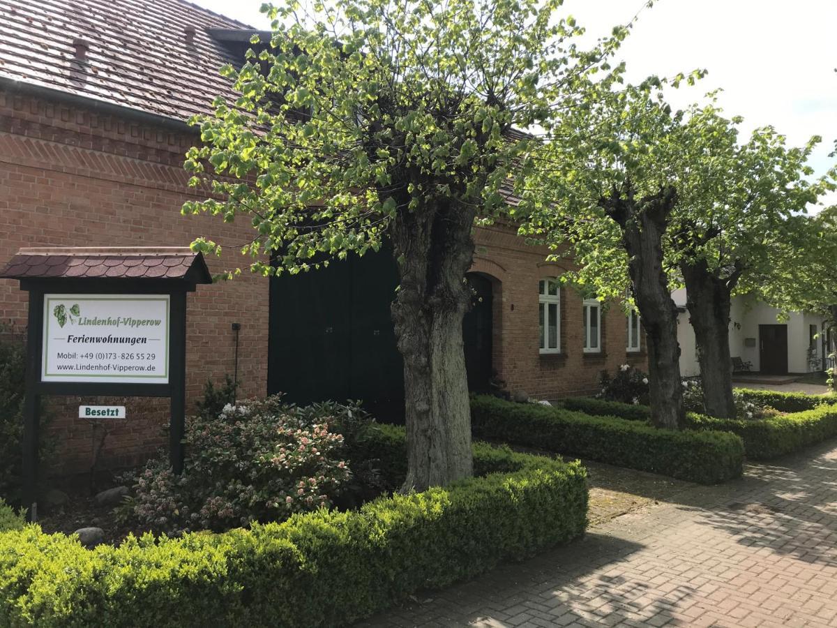 Lindenhof Wohnung 2, Erdgeschoss Vipperow Exteriör bild